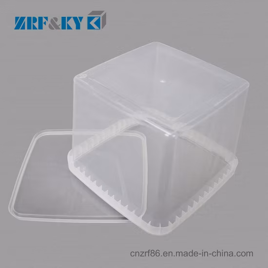 Amazon Ebay Meistverkaufte PP-Lebensmittelaufbewahrungsbehälter, Schokoladenverpackung, Lunchbox